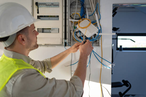 Best Electric Panel Repair  in Novato, CA